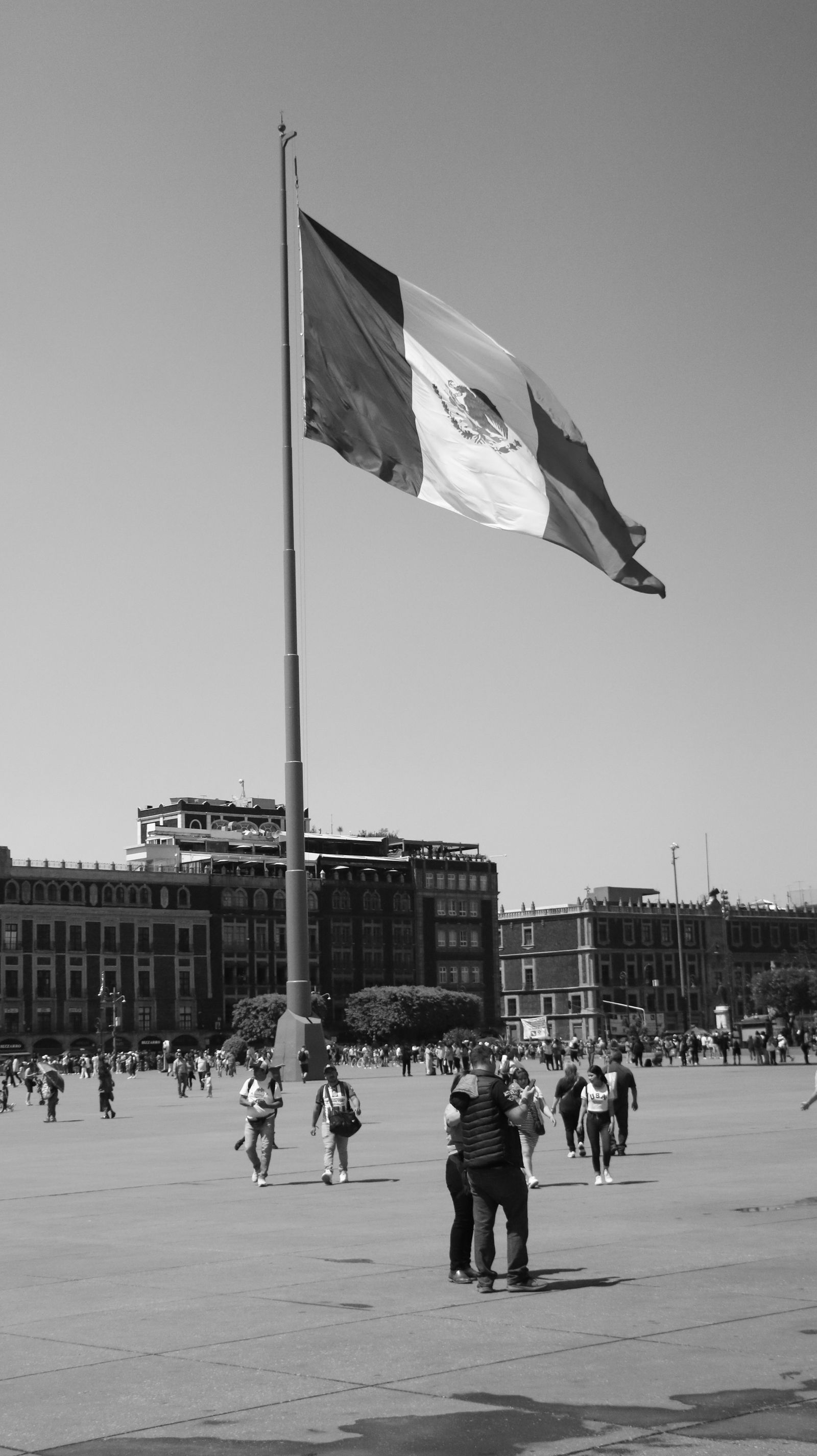 Bandera de México
